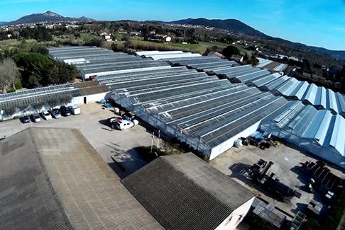 Le Comptoir Paulinois et ses serres en vue aérienne